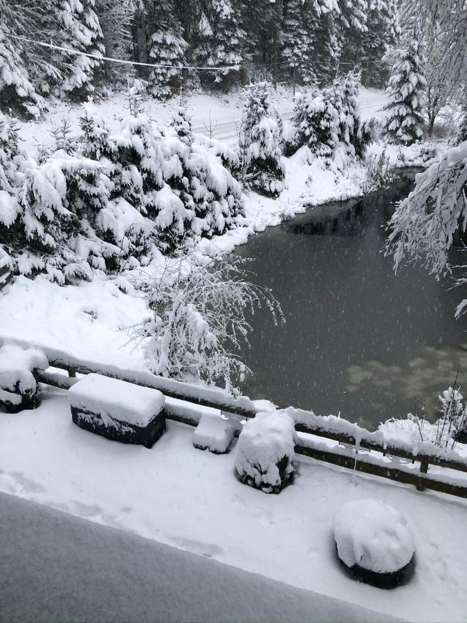 Le Chalet Du Narouel Gérardmer Dış mekan fotoğraf